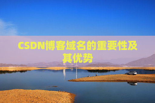 CSDN博客域名的重要性及其优势